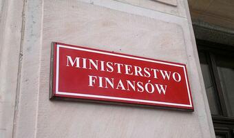 Dług w walutach obcych spadł poniżej 30 proc.