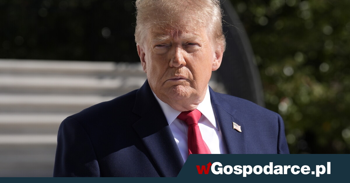 Donald Trump promises everyone $1,000,000. POLL