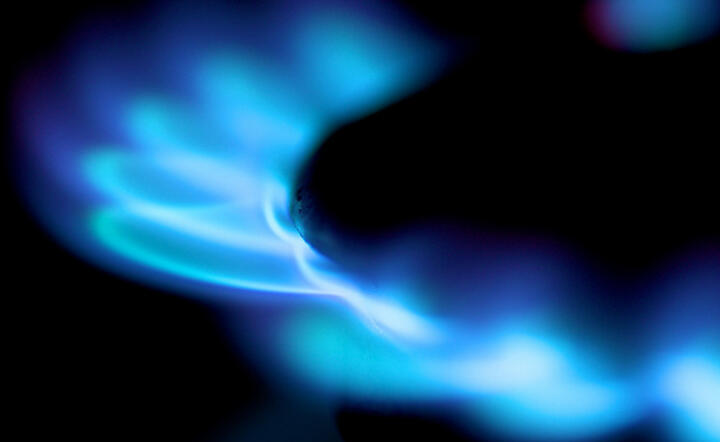 autor: flickr