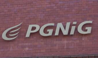 Jest termin wniosku Orlenu do KE ws. przejęcia PGNiG