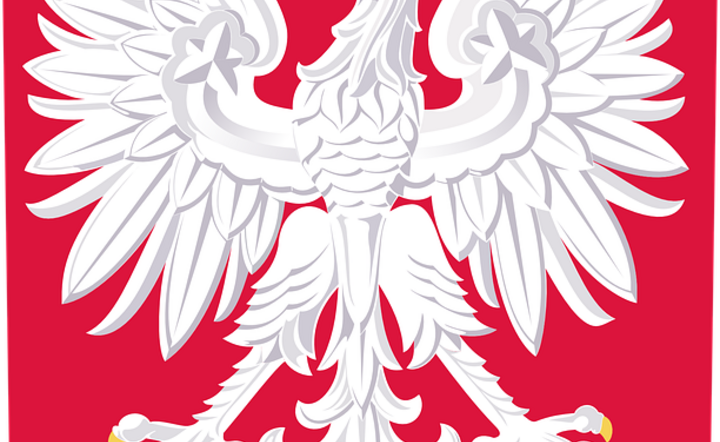 Cyfrowe porządki z Orłem Białym