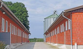 Bezzwrotna dotacja na kapitał obrotowy dla firm