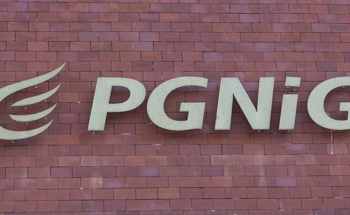 PGNiG / autor: Fratria