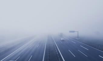 Niemcy: Coraz więcej osób chce zmiany prawa na autostradach