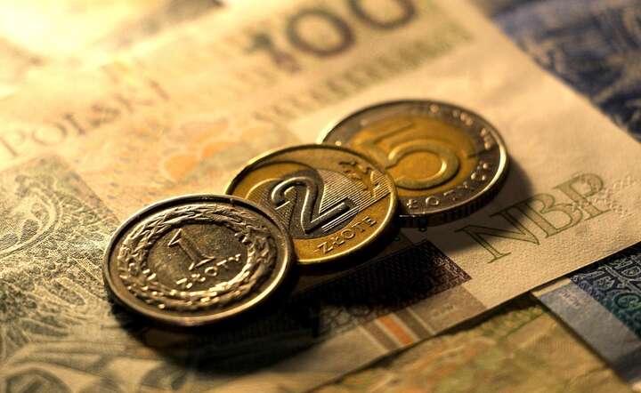 Obecnie na rynku dominuje scenariusz obniżki stóp przez RPP o 0,25 proc. / autor: Pixabay