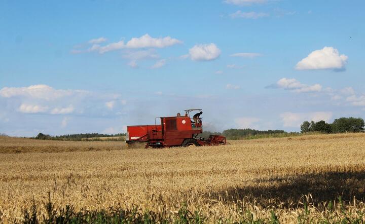 Rolnictwo / autor: fot. Fratria