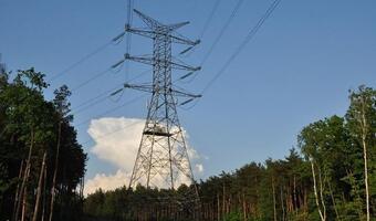 PSE z inwestycją za 100 mln zł w gminie Nysa