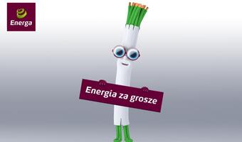 Grosz do grosza – warto oszczędzać!