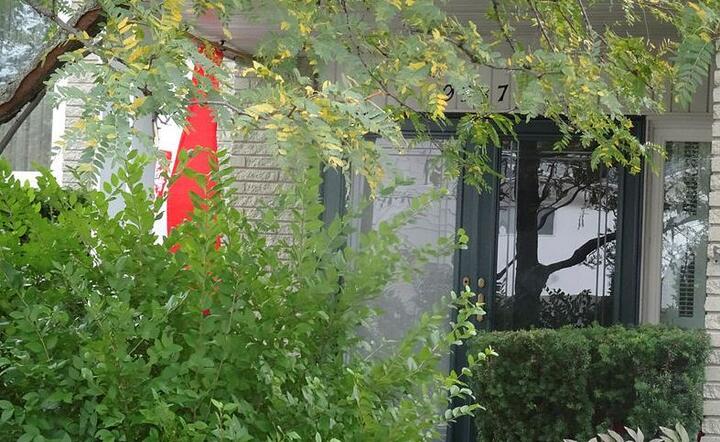 Polonia / autor: Fratria