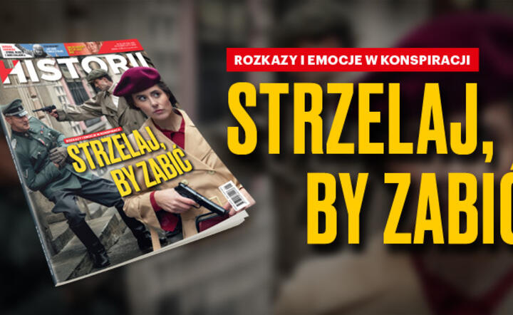 Okładka wSieci Historii / autor: Fratria