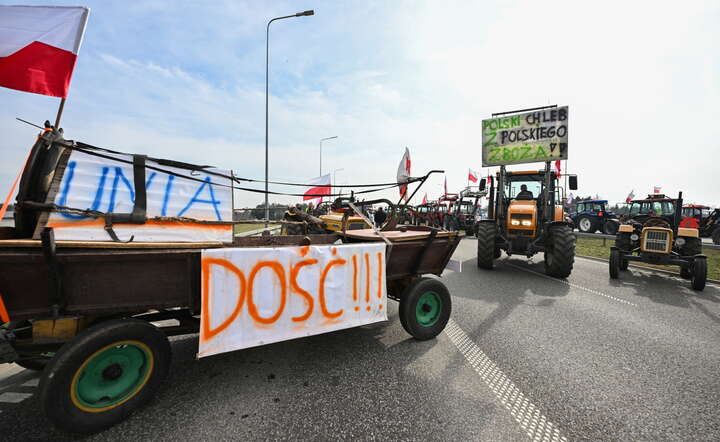 Protest rolników na drodze S7 w okolicach podradomskiej miejscowości Jedlanki,  / autor: PAP/Piotr Polak 