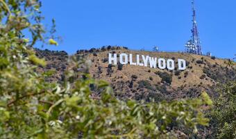 Wreszcie konsekwencje dla hollywoodzkich zboczeńców