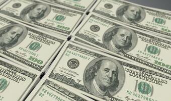 Złoty nieco słabszy po danych z USA