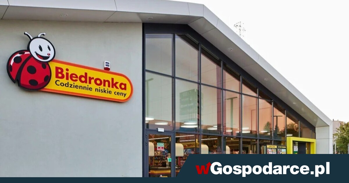 Niemieckie sieci sklepów dzielą i rządzą w Europie, a co z polskimi? [RANKING]