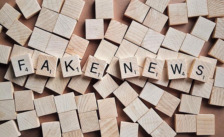 fot. Pixabay / autor: fot. Pixabay