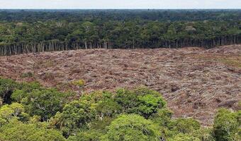 Upiorna wizja. Amazonia na progu autodestrukcji