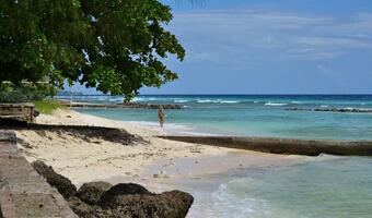 Barbados, Bermudy i Aruba wykreślone z czarnej listy podatkowej
