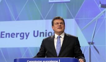 Unijna presja na Polskę ws. emisji CO2 i smogu niepotrzebna