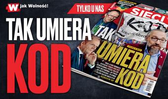 W tygodniku „Sieci”: Tak umiera KOD