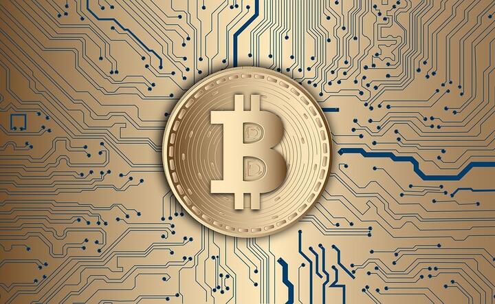 Zdjęcie ilustracyjne / autor: Pixabay.com