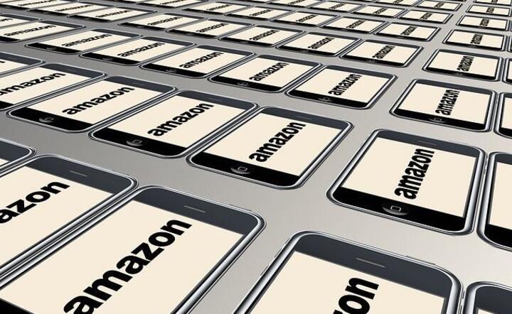Amazon / autor: Pixabay