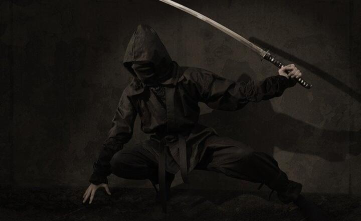 Ninja / autor: Pixabay