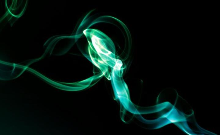 www.sxc.hu