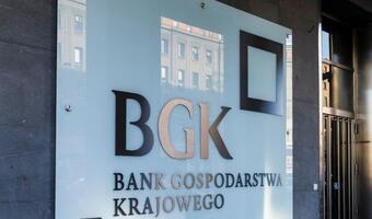 Nie tylko Tarcza: BGK także wesprze biznes