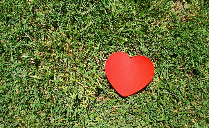 autor: www.sxc.hu