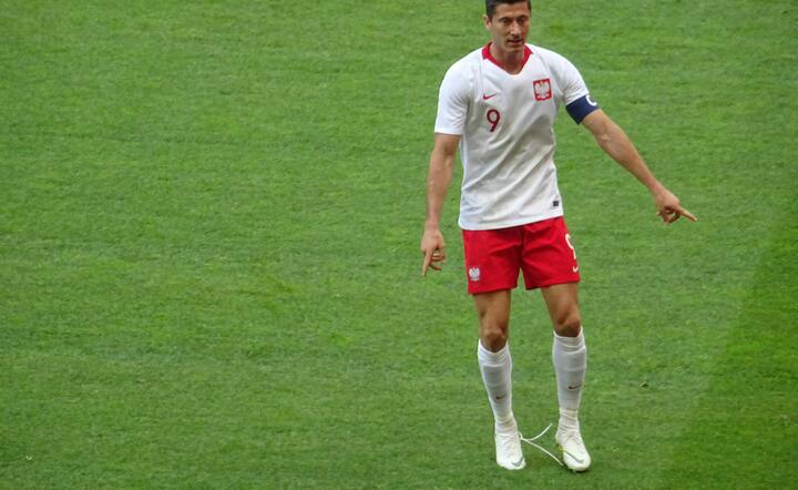 Robert Lewandowski / autor: Fratria