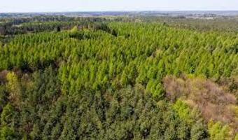 LP, inwestycje za 15 mld dol. Zakłady Izery będą w Jaworznie