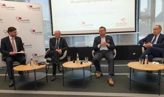Europejski Zielony Ład i jego konsekwencje dla polskiej gospodarki