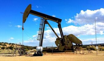 Kraje OPEC zdecydowały ws. wydobycia i zaskoczyły rynek