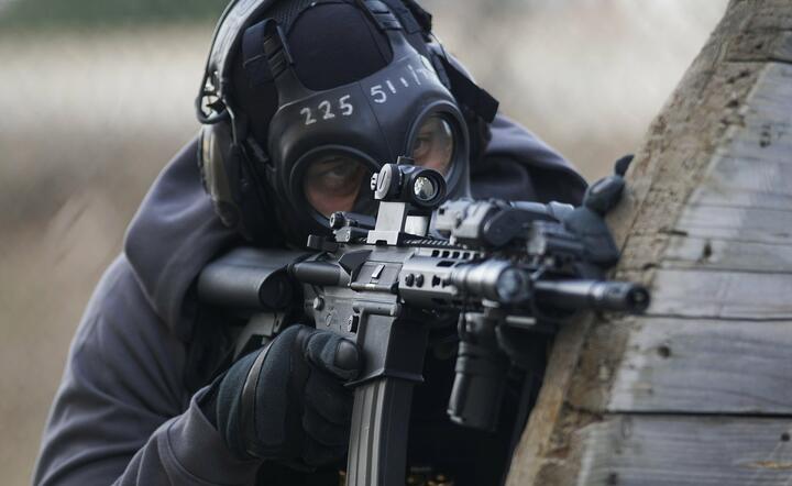 AR-15 / autor: Pixabay