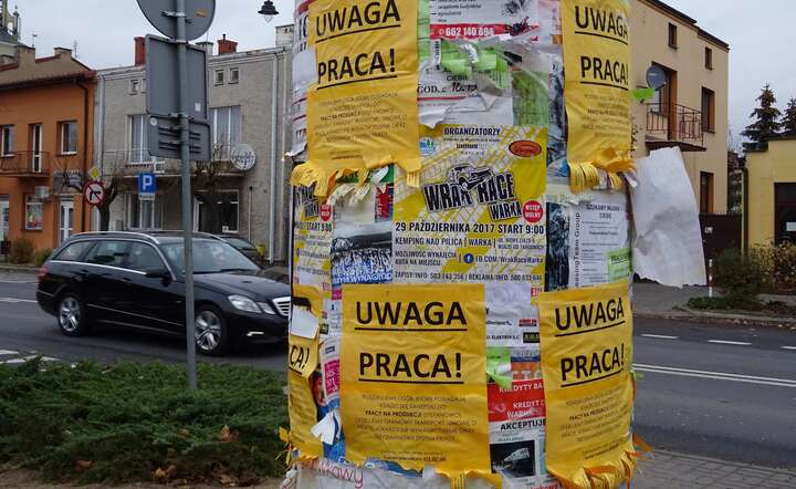 W kwietniu liczba bezrobotnych wyniosła  528 tys. osób / autor: MK/Fratria