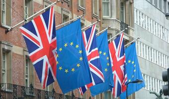 Prof. Gatnar, członek RPP: Brexit nie dokona się w jednej chwili, Polska bardzo nie ucierpi