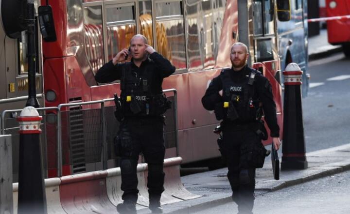 Brytyjska policja aresztowała podejrzanego o terroryzm / autor: Pixabay