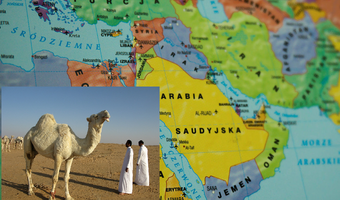Arabia Saudyjska. O 100 proc. wzrosły inwestycje