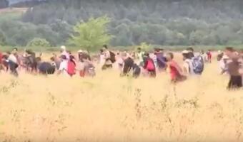 "Zgoda rządu RP na przymusową relokację imigrantów będzie zgodą na zmianę struktury ludnościowej Polski na najbliższe dziesięciolecia, a w istocie na zawsze"