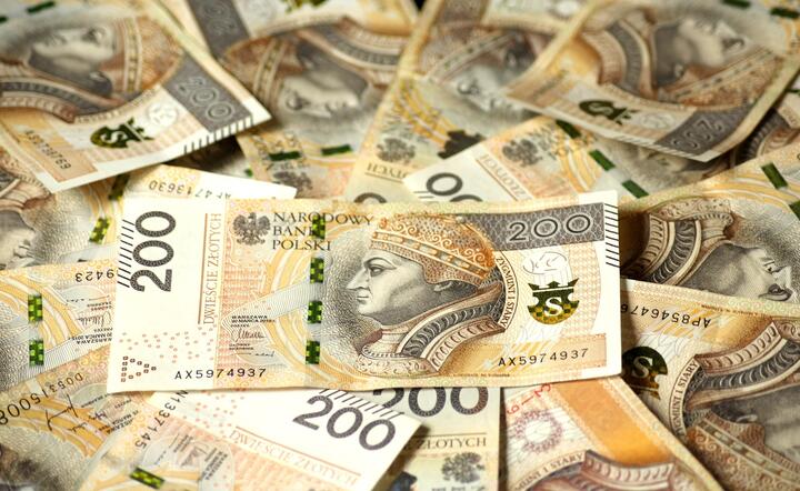 Wartość aktywów PPK przekroczyła już 1,4 mld zł / autor: Pixabay