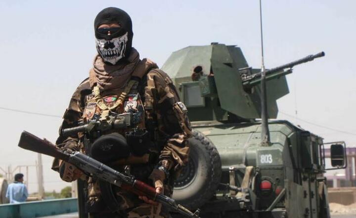 Afganistan  / autor: PAP/EPA/JALIL REZAYEE