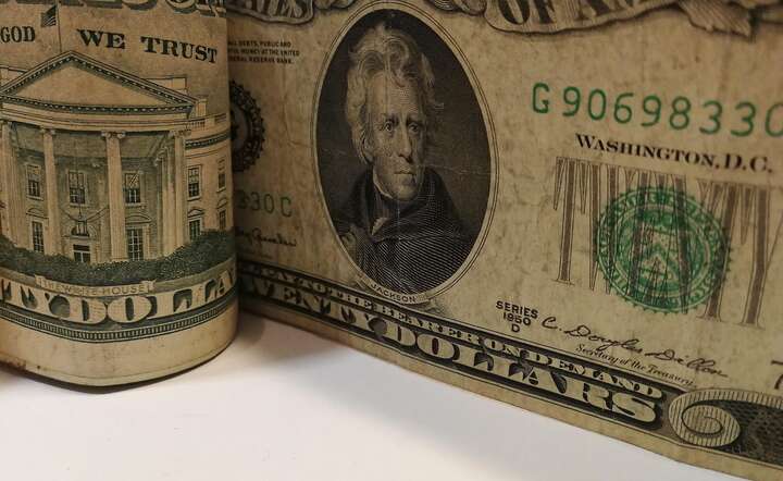 Na rynku dolar nie widać negatywnego wpływu słabego odczytu indeks zaufania konsumentów w USA / autor: Pixabay