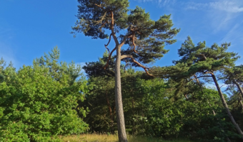 IMGW: przed nami bardzo gorący weekend. Sprawdź szczegóły
