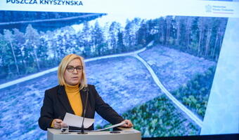Resort klimatu na pół roku wstrzymuje drwali