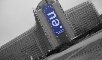 UE przetrwa jeśli będzie bardziej elastyczna