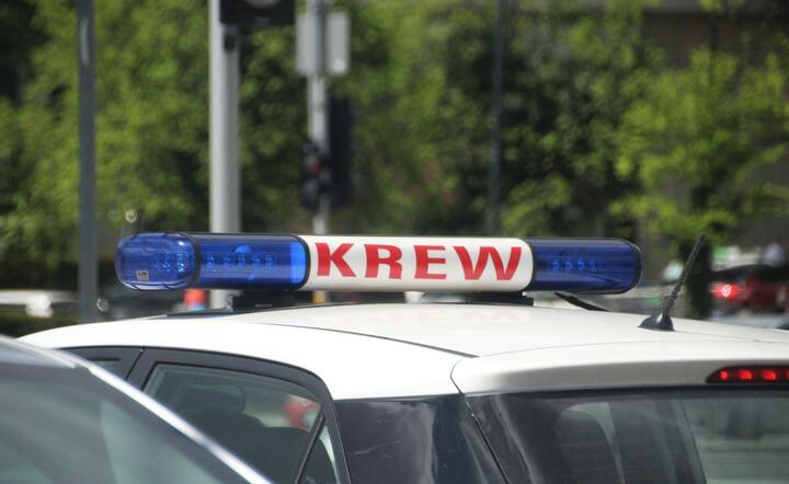Krew / autor: fot. Fratria
