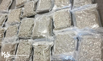 Mazowieckie: Marihuana ukryta w transporcie pościeli z Kanady