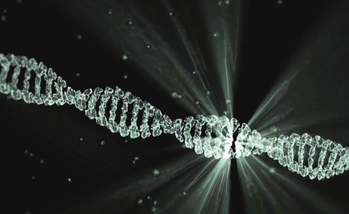 DNA / autor: Pixabay