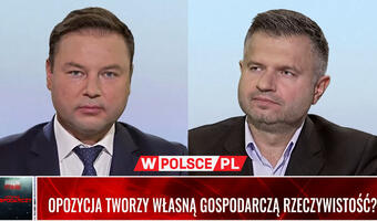 Czy opozycja tworzy własną gospodarczą rzeczywistość? (Wideo)