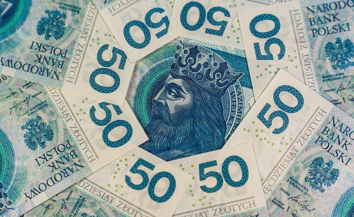  Krajowy sektor bankowy stał się w zeszłym roku posiadaczem ok. 50 proc. emisji obligacji krajowych wyemitowanych przez Skarb Państwa / autor: Fratria / AS